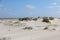 Beautiful sand dunes at the north sea