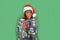 Beautiful Santa\'s Helper (6)