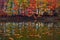 Beautiful scarlet, yellow, orange trees at the lake coast reflect in the water where the leaves are floating.