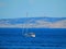 A beautiful scenary of Sea coast Island and a boat in Rab Island Croatia