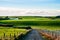 Beautiful scene of agriculture in a rural area at sunset. Green grassland, house, and cloudy sky. I