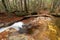 Beautiful scene of The Basin, Franconia Notch State Park, Lincoln, NH, Pemigewasset River