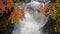 Beautiful scene of colorful autumn branchs on fresh flowing waterfall background