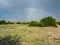 Beautiful scene of double rainbow on blue sky copy space background above natural sand, grass and tree on savanna plain
