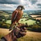 Beautiful scene of a falcon seated on falconer\\\'s gloved hand