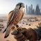 Beautiful scene of a falcon seated on falconer\\\'s gloved hand