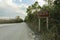 Beautiful scene in the Florida Everglades Landscape.