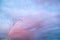 Beautiful scene in the morning sky with rainbow, flock of birds and pink clouds