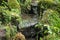 Beautiful scene of small refreshing stream with green trees at public park for background