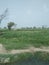 Beautiful scene, tower, village, rain