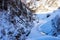 Beautiful sceneric view of Caucasus mountain. The way to mountain with pine forest covered with snow in winter season at Mestia