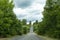 Beautiful sceneric view at the road among green trees and brushes, cloud sky.