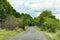 Beautiful sceneric view at the road among green trees and brushes, cloudy sky, green grass tonnel.