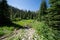 Beautiful scenery along a dirt hiking trail Iron Creek Trail leading to Sawtooth Lake in Idaho