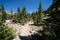 Beautiful scenery along a dirt hiking trail Iron Creek Trail leading to Sawtooth Lake in Idaho