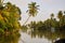 Beautiful scenery of Back waters in Alleppey in Kerala