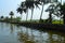 Beautiful scenery of backwaters