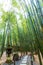 Beautiful scenery of bamboo forest and the old stone lamp in Hokokuji temple