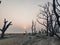 The beautiful scenery at the beach of Kuakata, Bangladesh