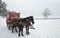 Beautiful scenery that captures the mesmerizing winter season in Abant Turkey