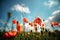 Beautiful scenery of Champ de coquelicots (Poppy field) under the cloudy sky