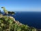 Beautiful scenery of a cliff on the sea coast on the island of Filfla in Malta