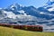 Beautiful scenery with cogwheel red train of the famous Jungfrau Railway