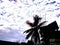 Beautiful scenery combining white cloudy sky and standing coconut plant