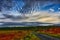 Beautiful scenery of the country road and heather meadows over blue cloudy sky