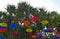 Beautiful scenery of decorative colourful umbrellas at Botanical Garden Putrajaya. Garden dan park decoration concept