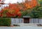 Beautiful scenery of fiery maple trees by the wooden gate & fence at the entrance to the Japanese gardens