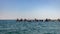 Beautiful scenery of a flock of sea gull perched on rock formations in the Black Sea, Romania