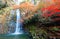 Beautiful scenery of a grand waterfall tumbling down the rocky cliff into a green pond surrounded by colorful autumn foliage