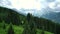 Beautiful scenery of green trees slope field with Alps mountain in the background