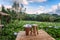 The beautiful scenery of the Hydrangea flower field with a lone chair and flower basket at Khun Pae, Chiang Mai, Thailand