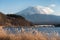 The beautiful scenery of Mount Fuji with deadwood and dried grass at Kawaguchiko lake in Japan