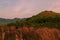 beautiful scenery of mountain in afternoon there is communist grass field is foreground,Koh yao yai,Phang Nga,Thailand