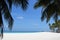 Beautiful scenery of palms sandy beach sea frame background wallpaper of Maldives island