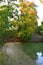 Beautiful scenery of a park with a lake and green nature in autumn in daylight