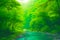 Beautiful scenery of a river surrounded by greenery in a forest generated by ai