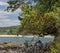 Beautiful scenery of rock formations and green plants at New Chums Beach in New Zealand