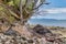 Beautiful scenery of rock formations and green plants at New Chums Beach in New Zealand