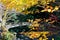 Beautiful scenery of a stone arch bridge over a stream surrounded by colorful autumn foliage