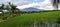 Beautiful scenery with a stretch of rice fields, mountains, trees and beautiful white clouds