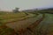 Beautiful scenery in the terraced rice fields