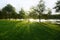 Beautiful scenery trees greenery park and fresh green lawn with lake and sunlight beam in sky background, morning or evening time