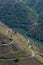 Beautiful scenery of the vineyards in the Ribeira Sacra