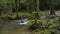 Beautiful scenery of water stream flowing from cascade over the rocks through green plant under sunlight in fertile forest.