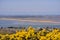 Beautiful scenic aerial-like bright view of yellow gorse Ulex, Irish sea, beach, Dublin bay, house roofs seen from Howth, Dublin