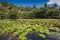 Beautiful Scenic Backdrop of Black Sand Beach Hawaii